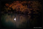 Autumn in Lake Autumn in Lake