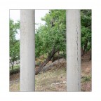 SenzaTitolo SenzaTitolo