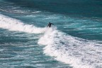Surfer Surfer