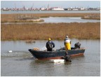 IMG 3682  Chioggia, 11/10/2015 ore 12:08:41; punto di scatto 45 11 25  N, 12  13  36  E.