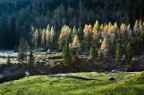 Val Sanguigno