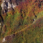 Fianco orientale del Monte Telegrafo, Prealpi venete, ottobre 2015