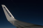 wing