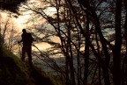 Sentiero nel bosco