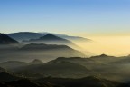 Nebbia Nebbia