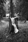 nell'albero