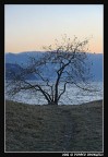 ....un bagno al tramonto ....un bagno al tramonto