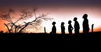 l'evoluzione l'evoluzione