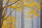 Autumn intimate