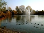 lago in citt