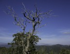 monte cresia monte cresia