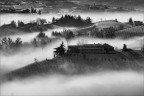 nebbia nelle langhe nebbia nelle langhe