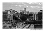 foro romano foro romano