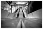 iso 1600 24mm f4 1/100sec