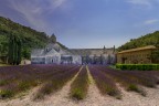 Abbaye de Senanque
