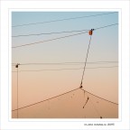 Tensioni... Tensioni...