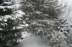 Neve_06 Neve_06