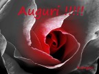 *** Auguri *** *** Auguri ***