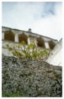 spezzatemi le gambe con i vostri commenti!!!
foto con un 50mm, su pellicola e scannerizzata!