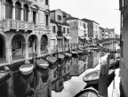 Chioggia Chioggia