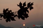 tramonto tramonto