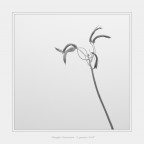 3 gennaio 2016 3 gennaio 2016