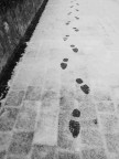 Impronte nella Neve Impronte nella Neve