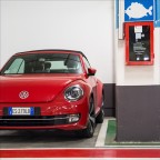 Pesce Rosso Rosso Rosso Pesce Rosso Rosso Rosso