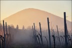 Colli Euganei 2016010602