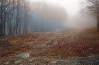 La nebbia .....