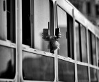 paparazzi a tutti i costi.... paparazzi a tutti i costi....