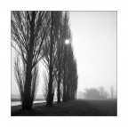 here comes the sun ;/) here comes the sun ;/)