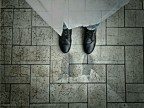 Prospettiva dall'alto con riflesso tenue.