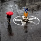 Il ciclista Il ciclista