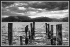 pontile pontile