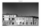Pesci volanti