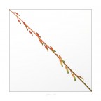 4 febbraio 2016 4 febbraio 2016