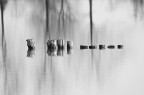 abstract abstract