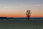 Campagna ravennate