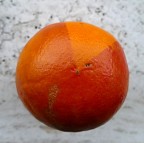 *** Istruzioni per l'uso *** *** Istruzioni per l'uso ***