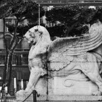 Fotografando... Fotografando...