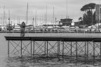 f 2.8  1/800 iso 100
tamron 24-50 mm 
commenti e critiche?