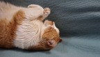 nap time