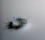 splash of milk splash of milk