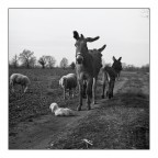 new life ;/) new life ;/)