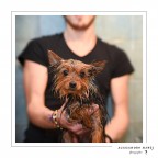 bagnetto fatto! bagnetto fatto!