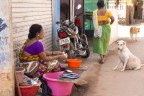 street India street India