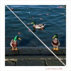 A ciascuno... il suo spazio A ciascuno... il suo spazio