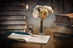 I fiori e la piuma I fiori e la piuma