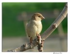 Questa  stata l'ultima foto che ho scattato con la mia amata FZ 20...
Mi manchera tantooooooooooooo